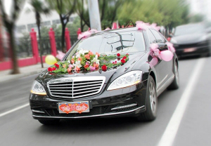 婚車系列車型